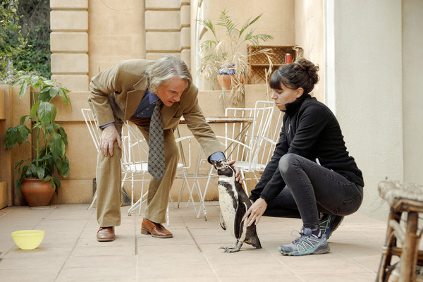 『ペンギン・レッスン』