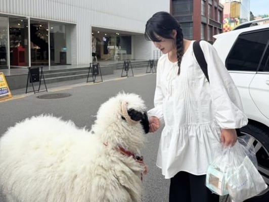 6月に出産予定の『太陽を抱く月』女優ナム・ボラ、道で出会った羊との2ショットを公開【PHOTO】