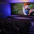 アヌシー国際アニメーション映画祭