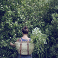 Photo: Laura Dart