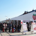 「横浜ストロベリーフェスティバル2015」。昨年開催時のイベントの様子。