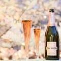 中目黒のお花見イベント、今年も「お花見 CHANDON」 3月初旬から開催！