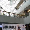 (C)岸本斉史 スコット/集英社