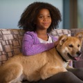アニー（クワベンジャネ・ウォレス）＆愛犬サンディ／『ANNIE／アニー』　-(C)2014 Columbia Pictures Industries, Inc. and Village Roadshow FilmsNorth America Inc./Village Roadshow Films (BVI) Limited. All RightsReserved. Annie and related characters and elements: TM & c2014 TribuneContent Agency, LLC.