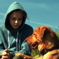 「犬の日」記念！犬だらけの冒頭映像解禁『ホワイト・ゴッド 少女と犬の狂詩曲』・画像