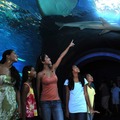ハワイの海洋生物に会える水族館「マウイ オーシャン センター」・画像