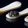 キャビアは、香りや味を損なうことなく食すために、白貝から作られるキャビア専用のシェルスプーンを使う。