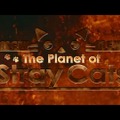 「～おとなのアニメ～ The Planet of Stray Cats」　（C）2014 PLUS heads inc.