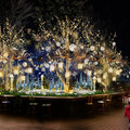 東急プラザ表参道原宿、6階屋上テラス「おもはらの森」のイルミネーション「2015 OMOHARA illumination」