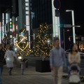 銀座のイルミネーション「GINZA ILLUMINATION」が11月29日から銀座通り（中央通り）と晴海通りで開催