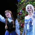 【海外ディズニー】エルサの魔法でクリスマスツリーが点灯！ライトニング・セレモニー・画像