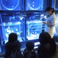 「すみだ水族館」水族館で飼育スタッフ体験　(c)TOKYO-SKYTREETOWN