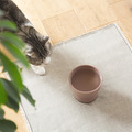 RINN Inc.が新作猫用水飲み器「Cat Water Bowl」の予約注文受付を開始