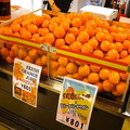 伊勢丹新宿店「スペイン展」会場の様子