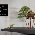 北アメリカ中心に広がる“盆栽”、次世代のアートとして世界へ再発信