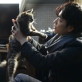 『世界から猫が消えたなら』(C)2016 映画『世界から猫が消えたなら』製作委員会