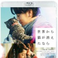 『世界から猫が消えたなら』(c)2016映画「世界から猫が消えたなら」製作委員会