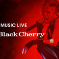 Acid Black Cherry 5th Anniversary LIVE Erect