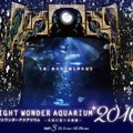 新江ノ島水族館「ナイトワンダーアクアリウム 2016」
