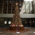 【丸の内オアゾ】お菓子の国のチョコレートツリー