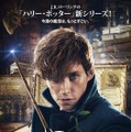 『ファンタスティック・ビーストと魔法使いの旅』　(C) 2016 Warner Bros. Ent.  All Rights Reserved.Harry Potter and Fantastic Beasts Publishing Rights (C) JKR.