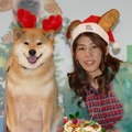 柴犬のまる＆吉田沙保里／『ペット』ブルーレイ＆DVD発売記念イベント