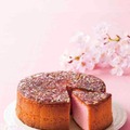 「WA・BI・SA」春季限定商品「焦がしざらめ カステラ さくら」2月20日（月）発売