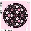 日本橋 桜フェスティバル メインビジュアル