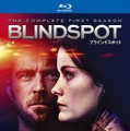 「ブラインドスポット＜ファースト・シーズン＞」　（C）2017 Warner Bros. Entertainment Inc. All rights reserved.