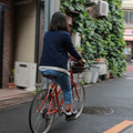 東京の魅力を発見 「Tokyobike Rentals Yanaka」レンタサイクルの楽しみ方・画像
