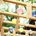 縁むすび風鈴回廊（風鈴）「川越氷川神社 縁むすび風鈴」