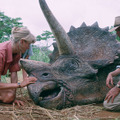『ジュラシック・パーク』 (c)1993 Universal City Studios Inc. & Amblin Entertainment Inc. All Rights Reserved