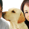 『犬とあなたの物語　いぬのえいが』 -(C) 2010「犬とあなたの物語」製作委員会