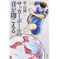 「サッカーボールの音が聞こえる」原作書影