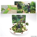 「ミライちゃんの植物園サラダパスタ」／「未来のミライカフェ」※写真はイメージ