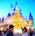 TDLで話題の生木のクリスマスツリー☆(C) Disney