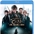 『ファンタスティック・ビーストと黒い魔法使いの誕生』ブルーレイ＆DVDセット　WIZARDING WORLD and all related characters and elements are trademarks of and (c) Warner Bros. Entertainment Inc. Wizarding World(TM) Publishing Rights (c) J.K. Rowling. (c) 2018 Warner Bros. Entertainment Inc. All rights reserved.