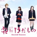 dTV×FOD共同製作ドラマ「花にけだもの～Second Season～」（C）エイベックス通信放送／フジテレビジョン