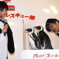 『ハッピー フィート2　踊るペンギン レスキュー隊』舞台挨拶