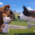 『ペット２』　(C) Universal Studios