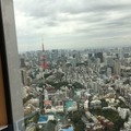 下に見える東京タワー