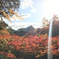 京都・東福寺にて