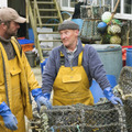 『フィッシャーマンズ・ソング　コーンウォールから愛をこめて』(C) FISHERMAN FILMS LIMITED 2019