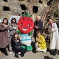 「今夜くらべてみました元日3時間SP2020!!」（C）NTV