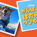「がんばれ！はたらくワンちゃん」8月7日（金）よりディズニープラスで配信開始 (C) 2020 Disney