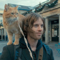 『ボブという名の猫　幸せのハイタッチ』 -(C) 2016 STREET CAT FILM DISTRIBUTION LIMITED ALL RIGHTS RESERVED.