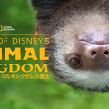 『ディズニー・アニマルキングダムの魔法』