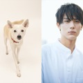 林遣都×花子役、中川大志×太郎　（C）2021「犬部！」製作委員会