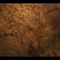 「キングダム：アシンの物語」は7月23日よりNetflixにて配信