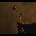 「キングダム：アシンの物語」は7月23日よりNetflixにて配信
